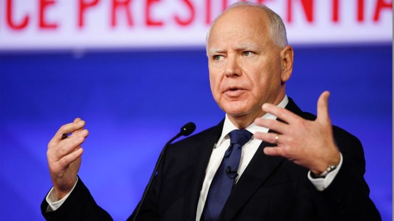 Minnesota GOP lawmaker urges Congress to press Walz at fraud hearing: ‘Real issues to deal with’